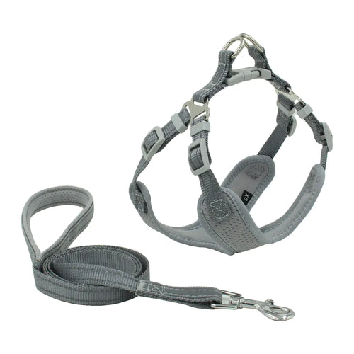 Nightglow Comfort Dog Harness