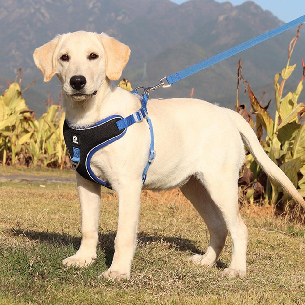AiryFlex Dog Harness