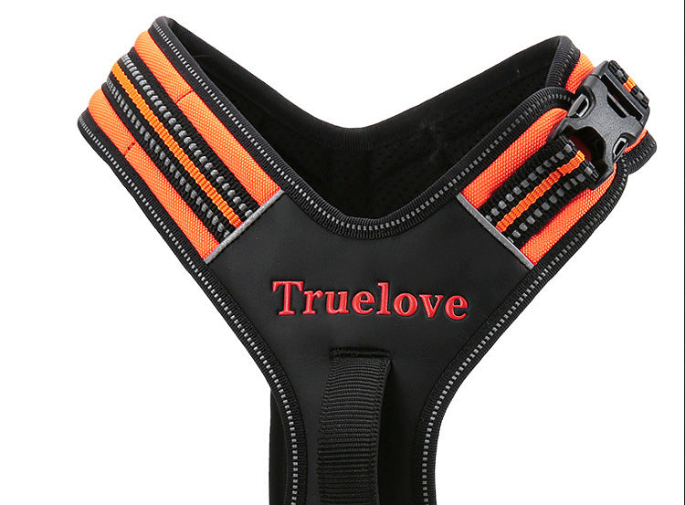 Truelove  Dog Harness with Leash