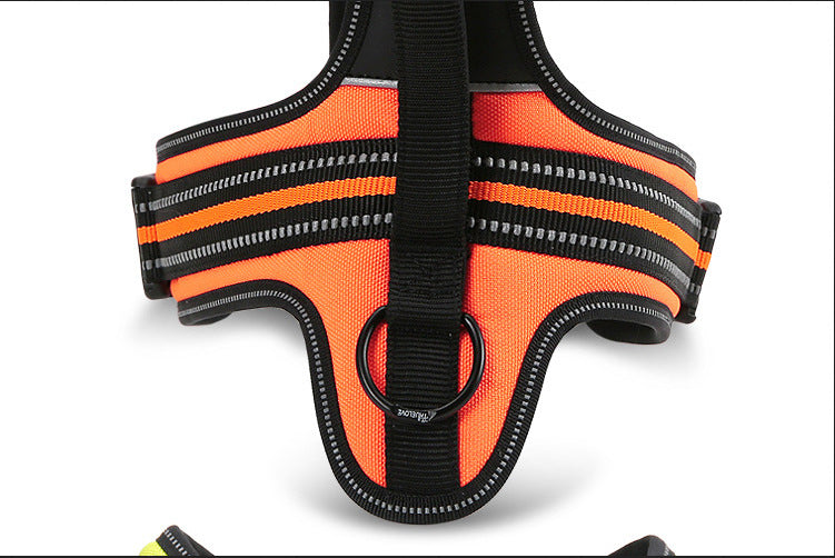 Truelove  Dog Harness with Leash
