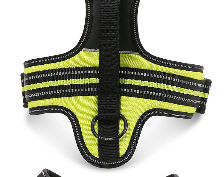 Truelove  Dog Harness with Leash