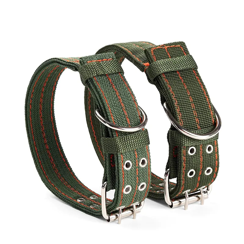 UrbanPup Everyday Nylon Collar
