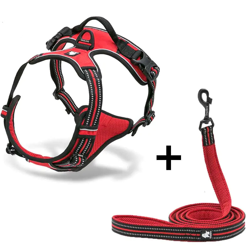 DogGo Harness & Leash