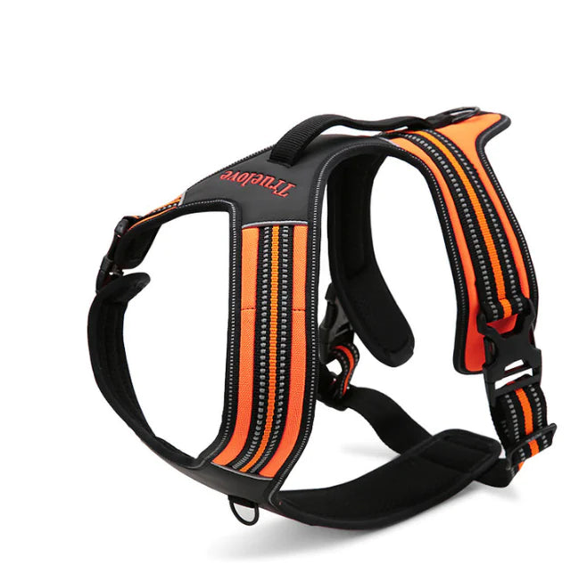 Truelove  Dog Harness with Leash