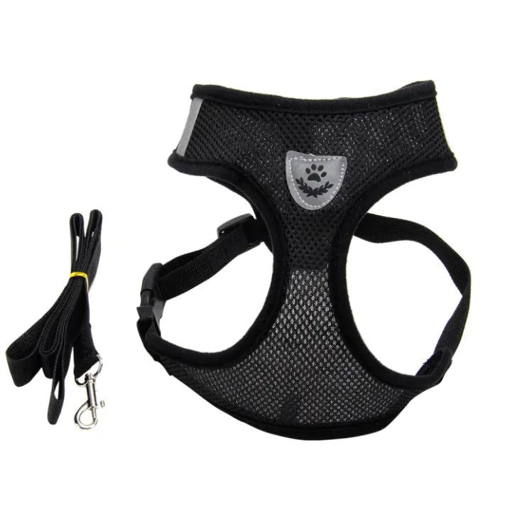 CloudSpine Dog Harness
