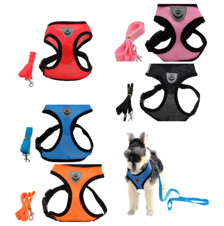 CloudSpine Dog Harness