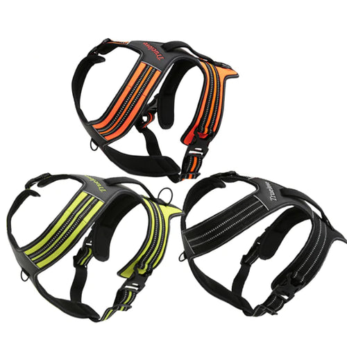 Truelove  Dog Harness with Leash