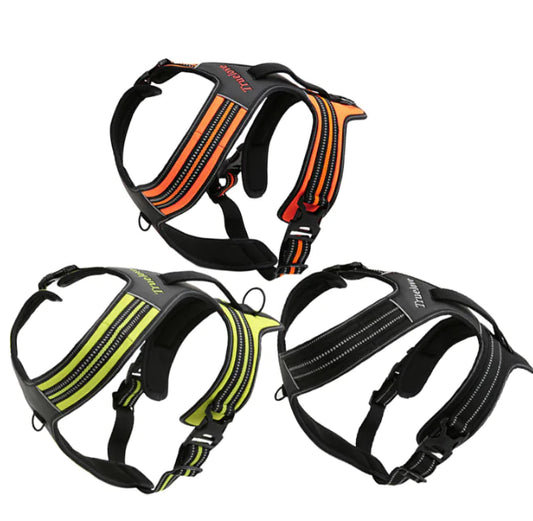 Truelove  Dog Harness with Leash