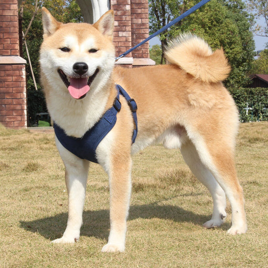 SuedeFlex Harness