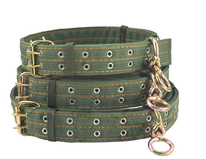 UrbanPup Everyday Nylon Collar