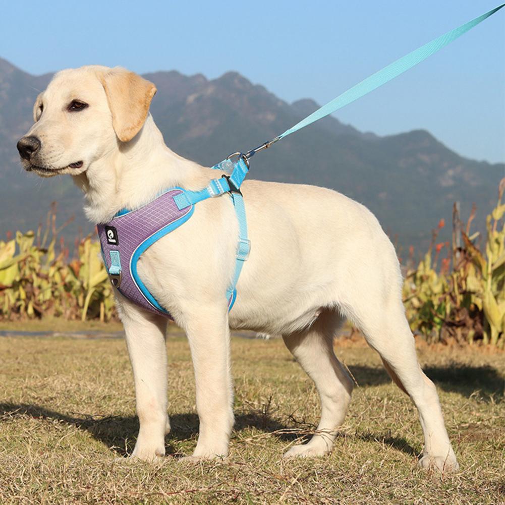 AiryFlex Dog Harness