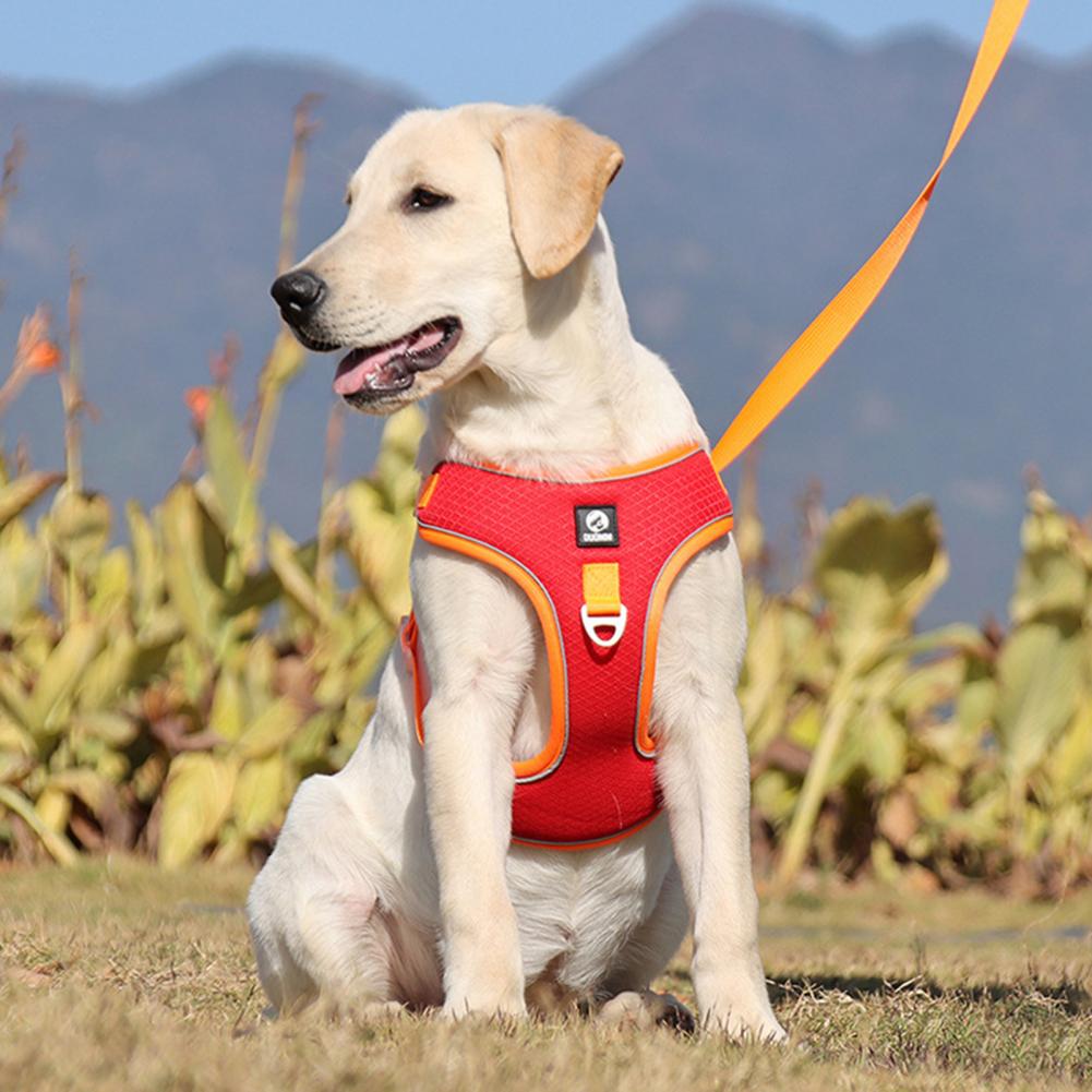 AiryFlex Dog Harness
