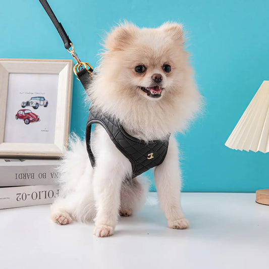 Premium Leather Dog Harness