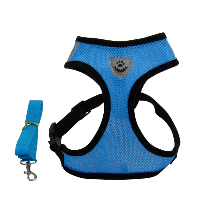 CloudSpine Dog Harness