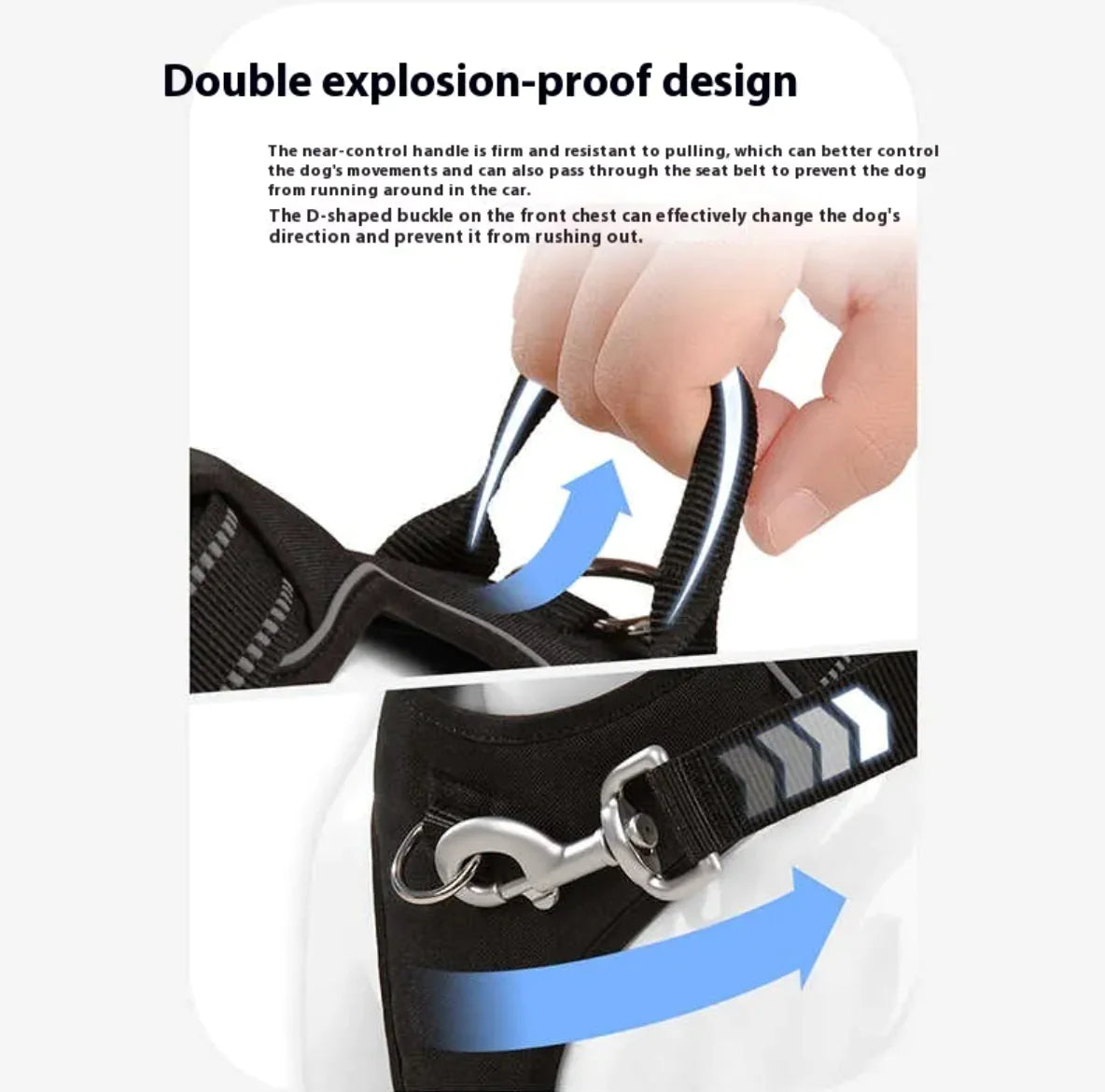SteadyStrap Harness