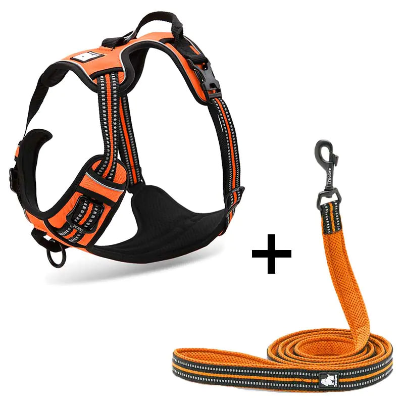 DogGo Harness & Leash