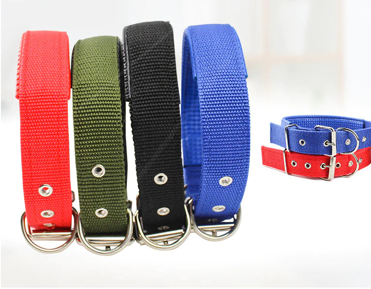 UrbanPup Everyday Nylon Collar