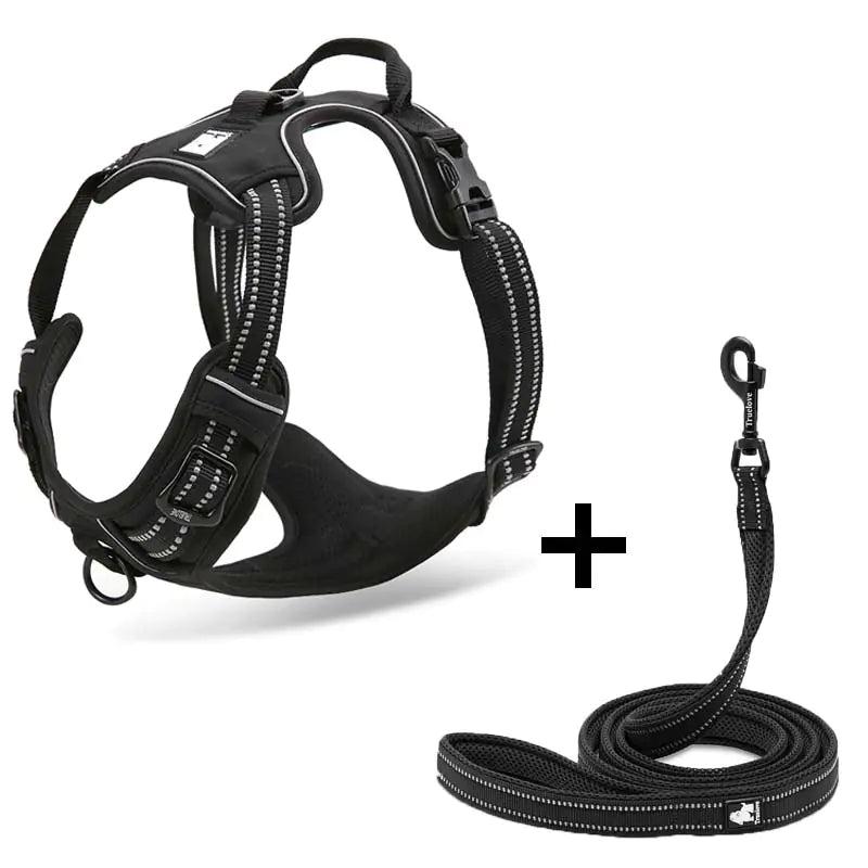 DogGo Harness & Leash