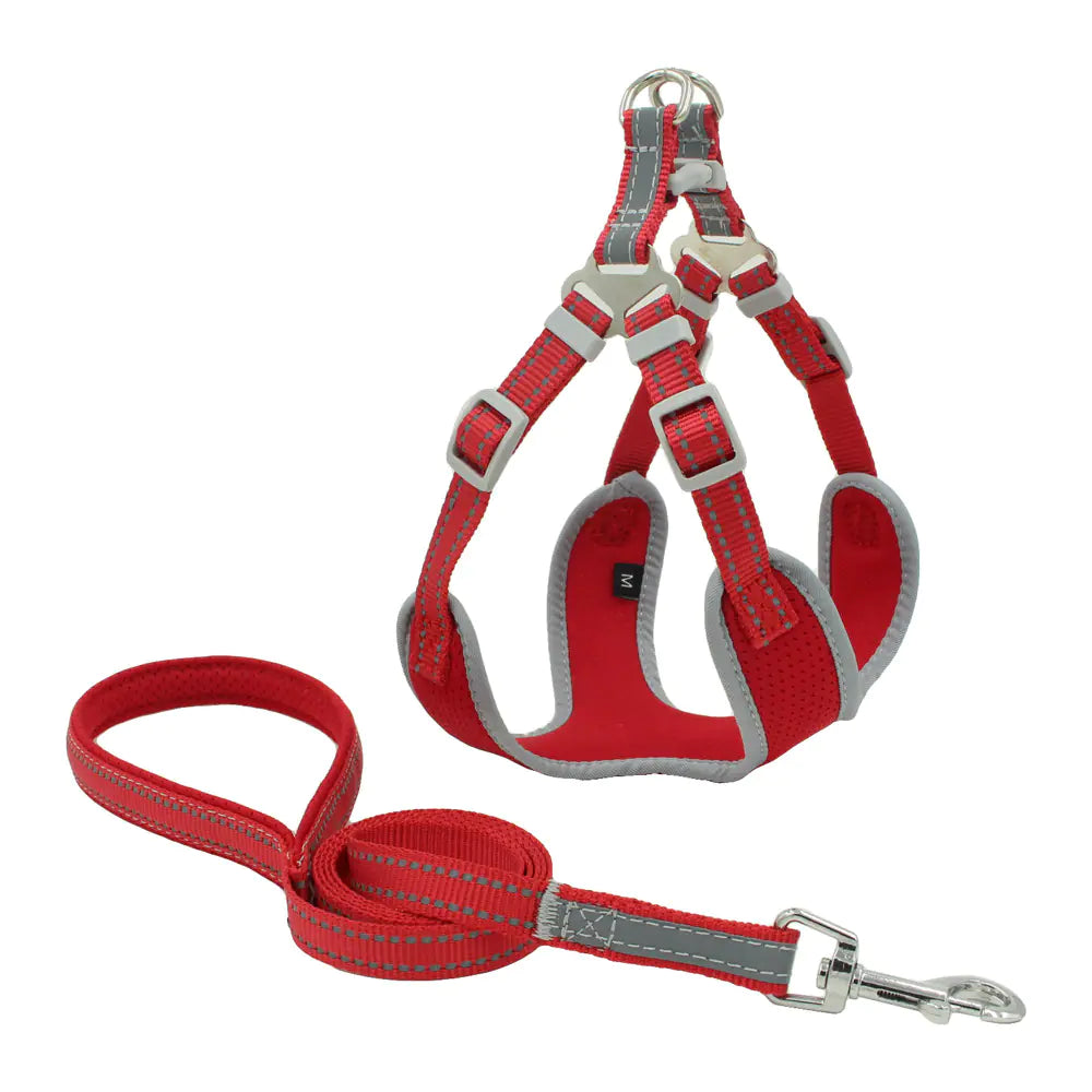 Nightglow Comfort Dog Harness