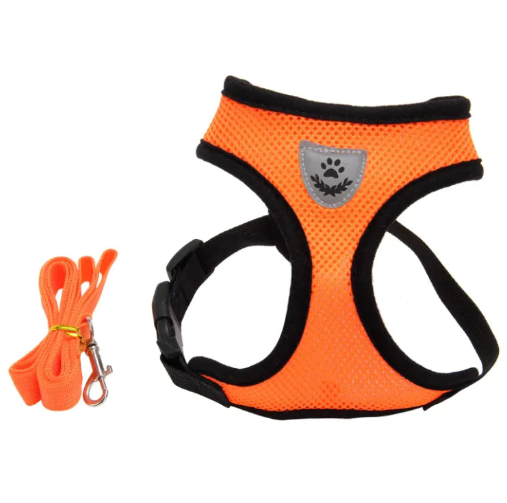 CloudSpine Dog Harness