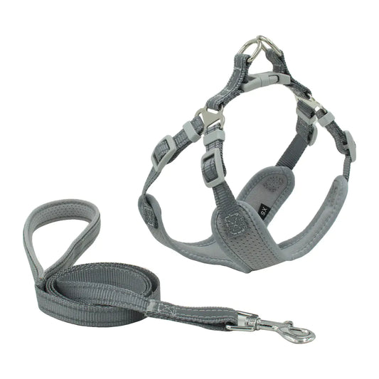 Nightglow Comfort Dog Harness