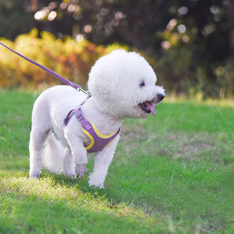 SuedeFlex Harness
