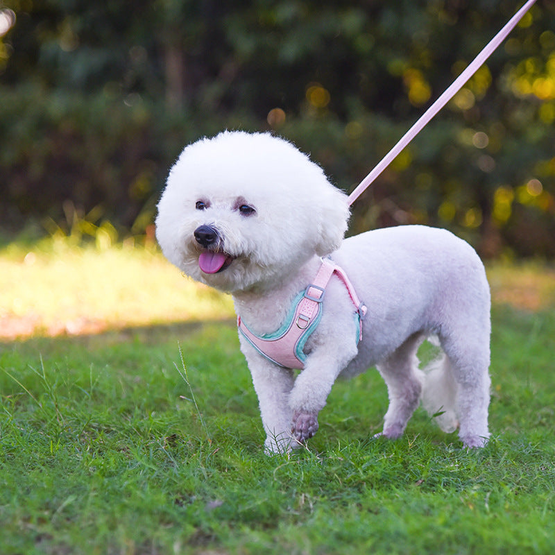 SuedeFlex Harness