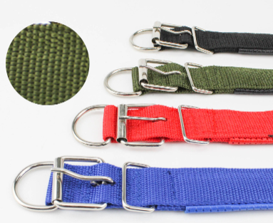 UrbanPup Everyday Nylon Collar