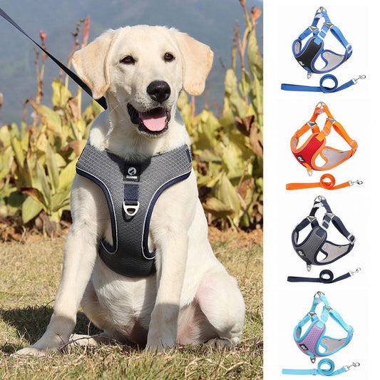 AiryFlex Dog Harness
