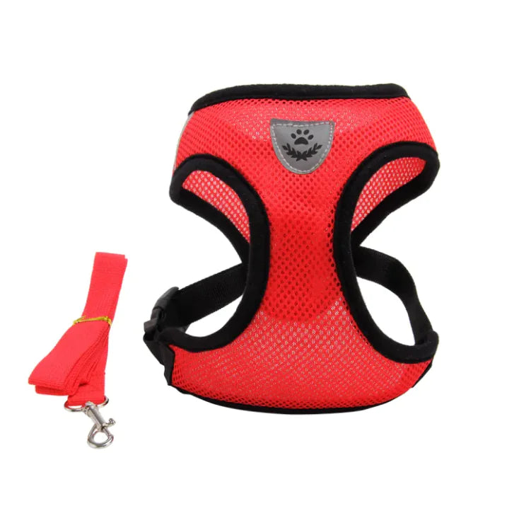 CloudSpine Dog Harness