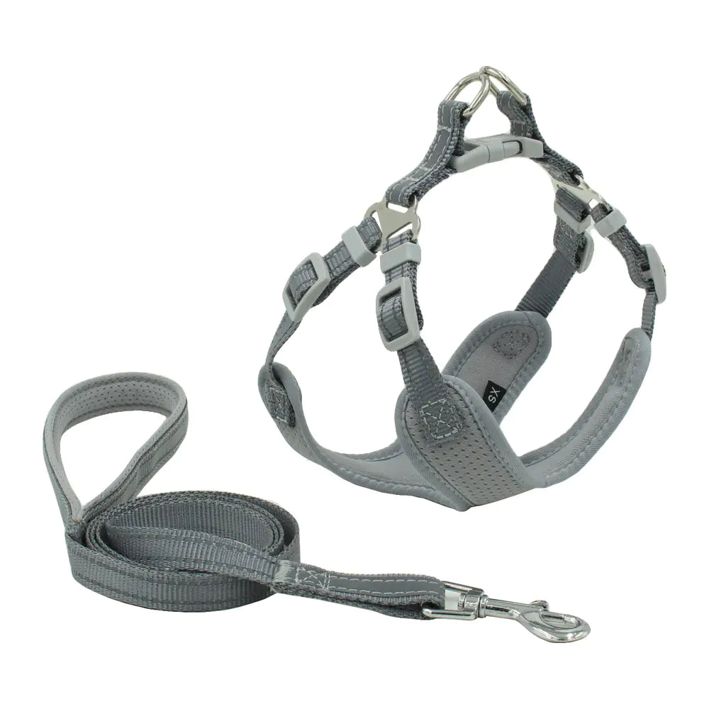 Nightglow Comfort Dog Harness