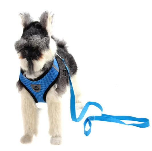 CloudSpine Dog Harness