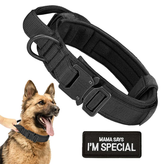 AlphaGuard Comfort Collar