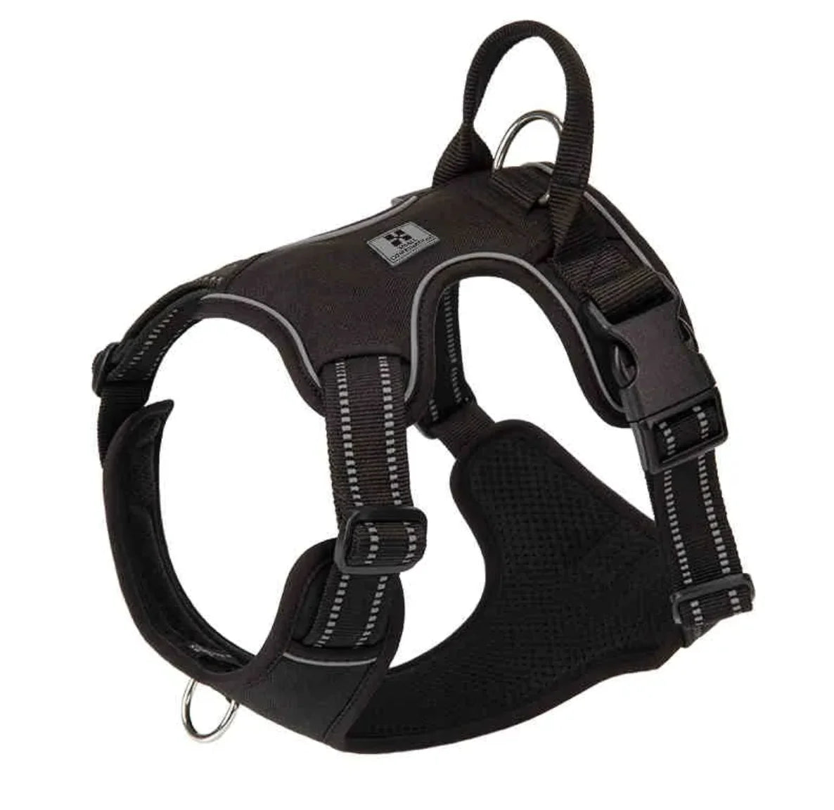 SteadyStrap Harness
