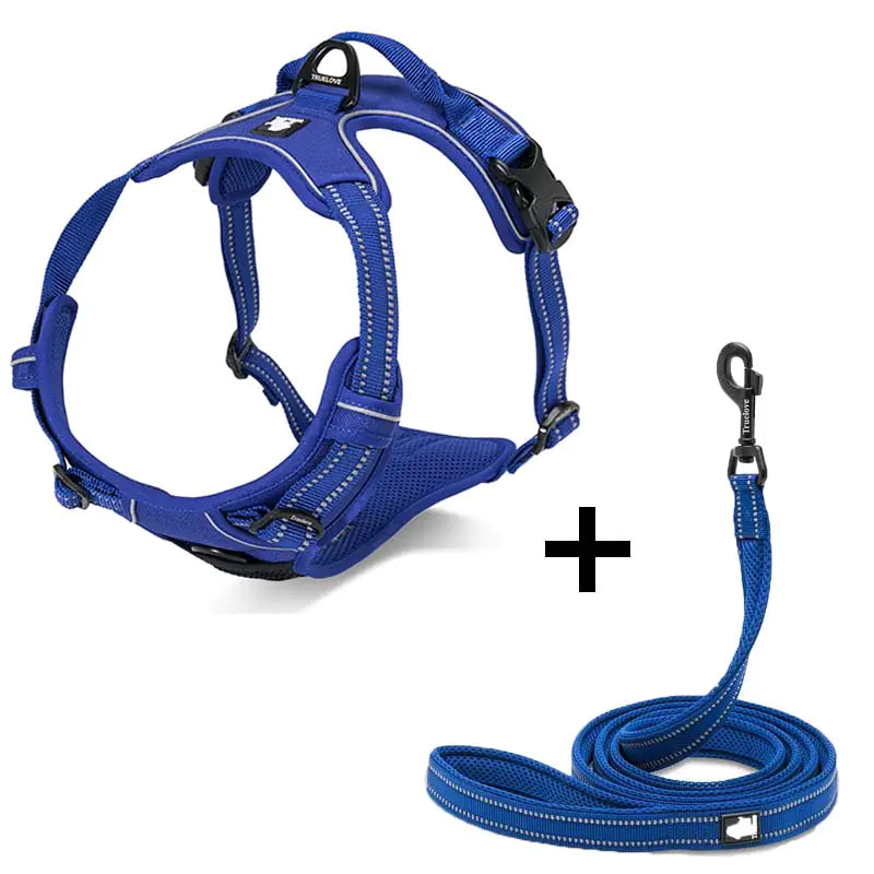 DogGo Harness & Leash