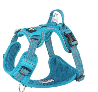 DogGo Harness & Leash