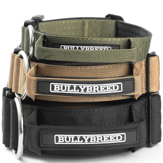 BULLYBREED Dog Collar