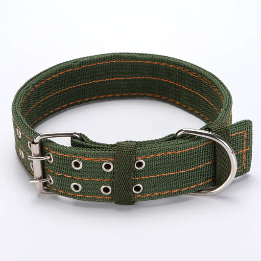 UrbanPup Everyday Nylon Collar